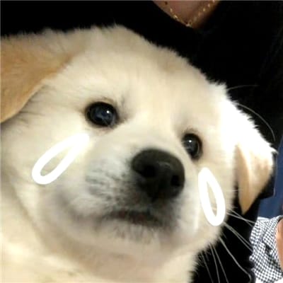 Thị Nương avatar