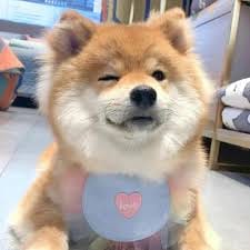 Thị Phương avatar